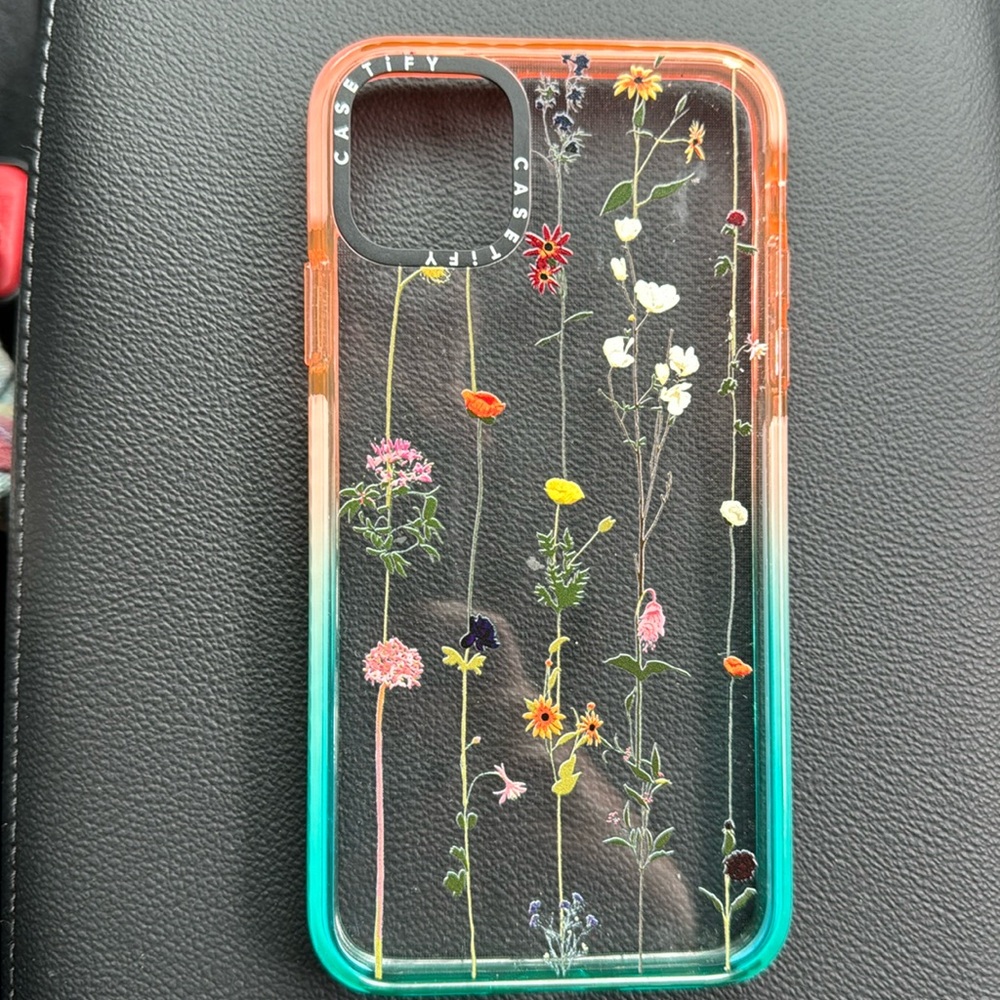 iPhone 11 Pro Max Casetify Case